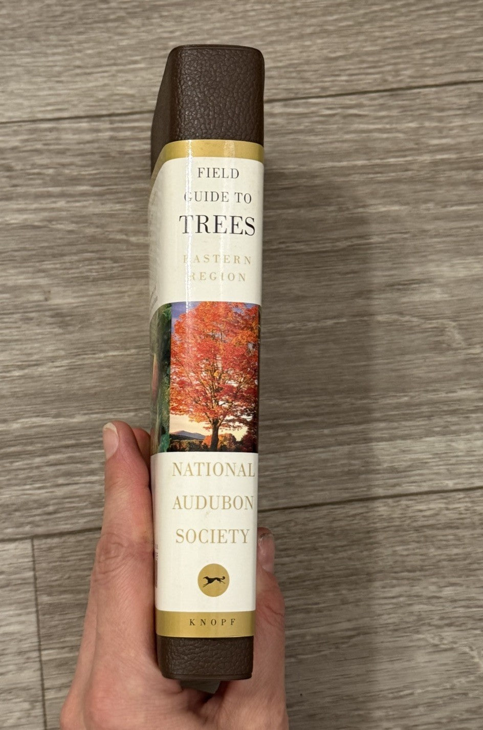 National Audubon Society Field Guide to Trees Eastern Region First Edition 1980