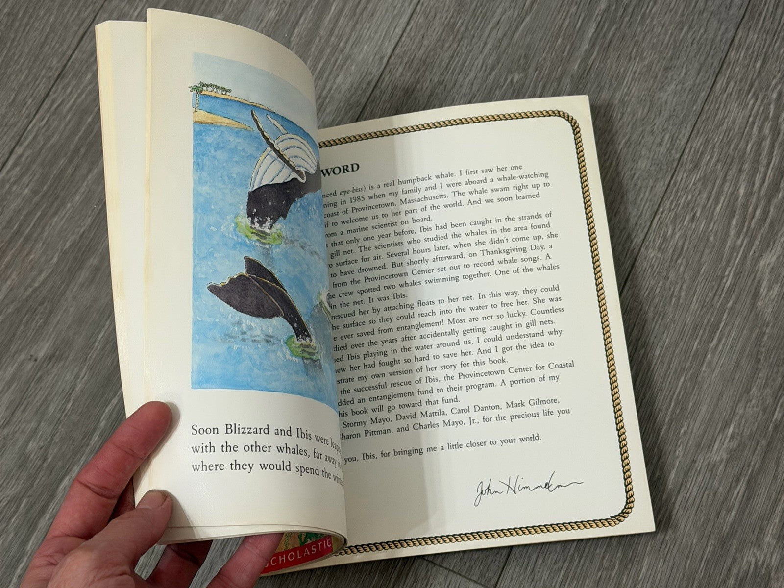 Ibis: A True Whale Story by Himmelman, John 0590428497 Paperback Book 1990 VTG