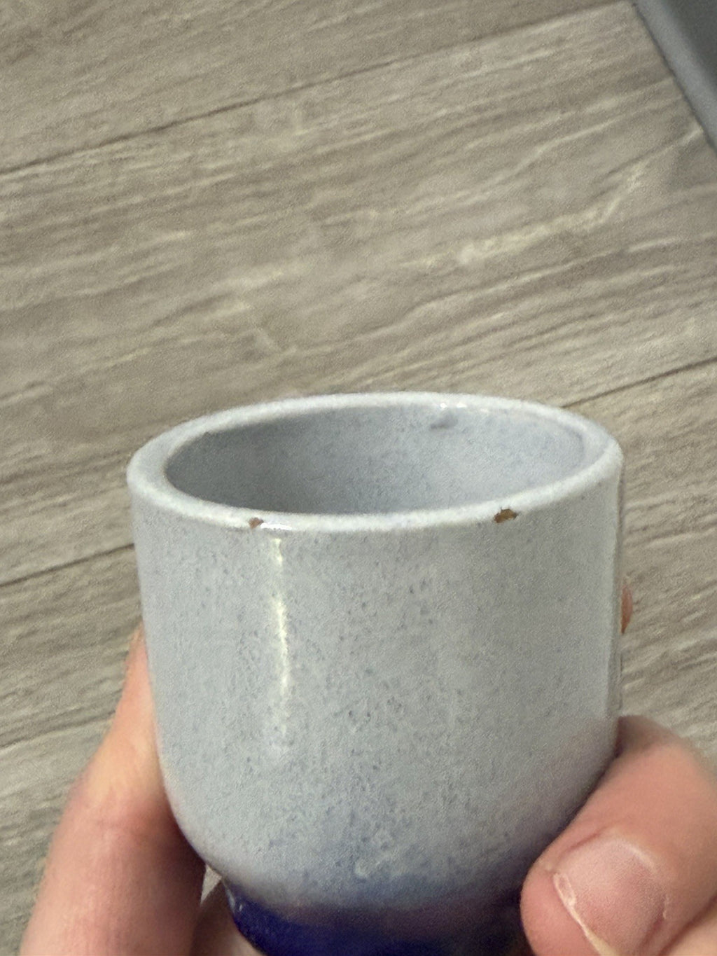 Small Blue Octopus Ceramic Sake / Tea Cup Shot Glass Handheld Decor Handmade