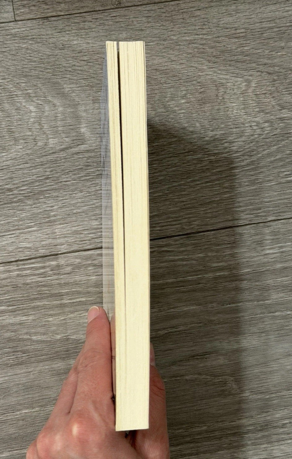 VINTAGE Skywriting by Word of Mouth John Lennon Softcover - 1990  Reissue