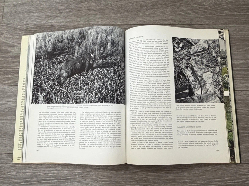 Asia: A Natural History by Pierre Pfeffer