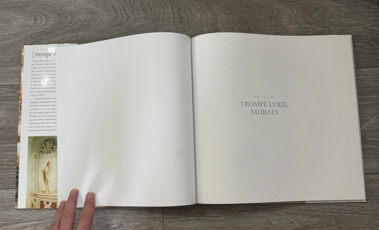 The Art Of Trompe L’oeil Murals By Yves Lanthier First Edition