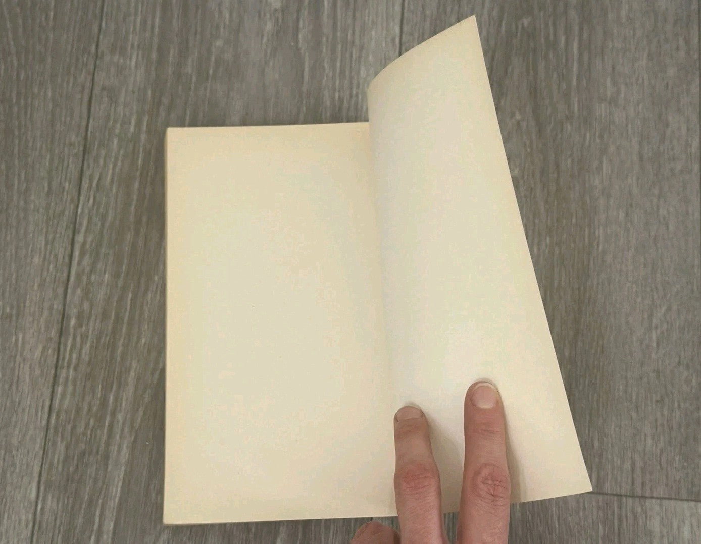 Manitou and Providence : Indians, Europeans, and the Making of Ne