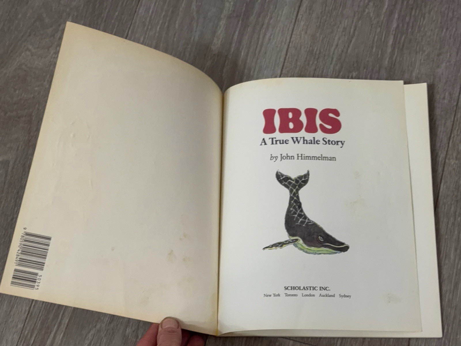 Ibis: A True Whale Story by Himmelman, John 0590428497 Paperback Book 1990 VTG