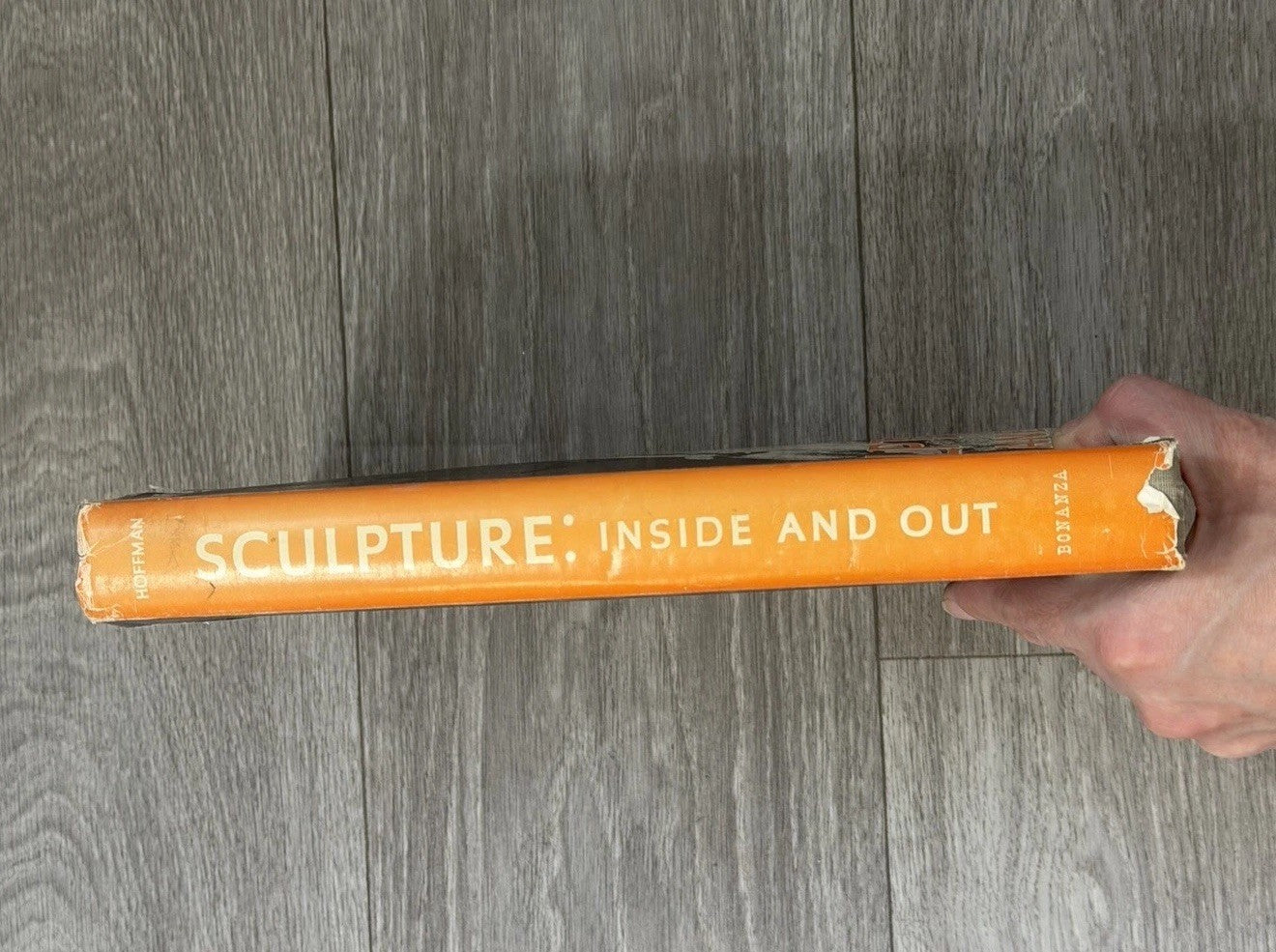Sculpture, Inside and Out, by Malvina Hoffman, 1st, HBDJ, 1939, Illustrated VTG