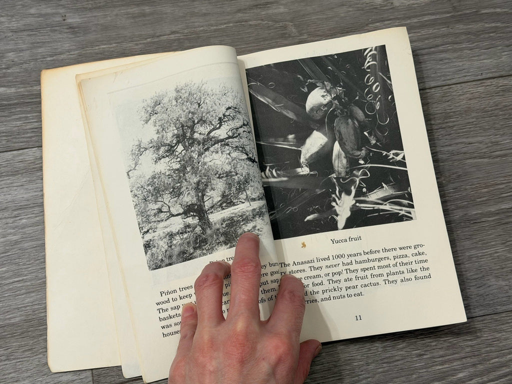 VINTAGE - The Old Ones: Children's Books About the Anasazi Indians