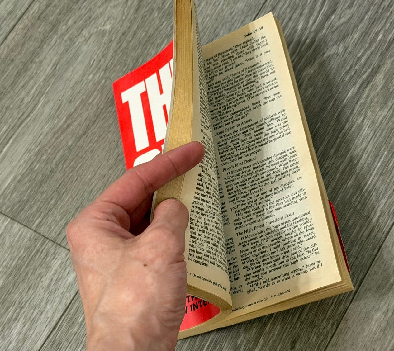 The Great News the New Testament NIV Paperback Book
