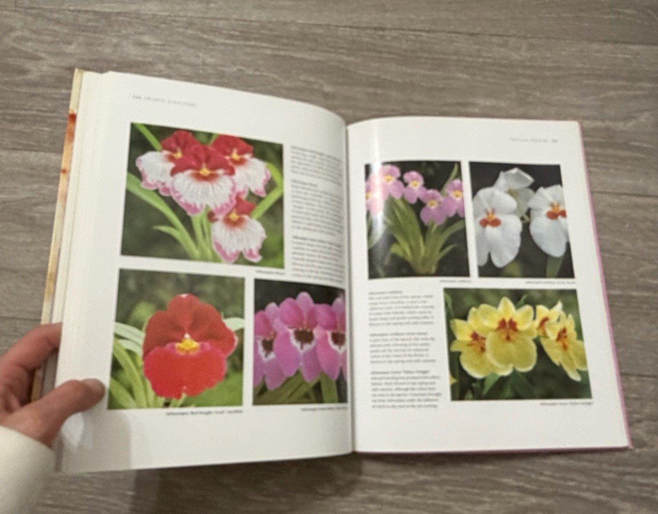Growing Orchids, Brian & Wilma Rittershausen, Beautiful Softcover