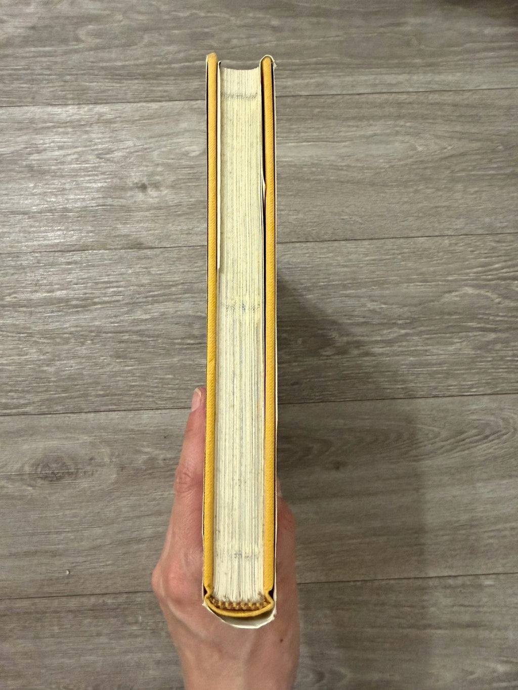 The WAR OF THE ROSES HARDCOVER - GOOD