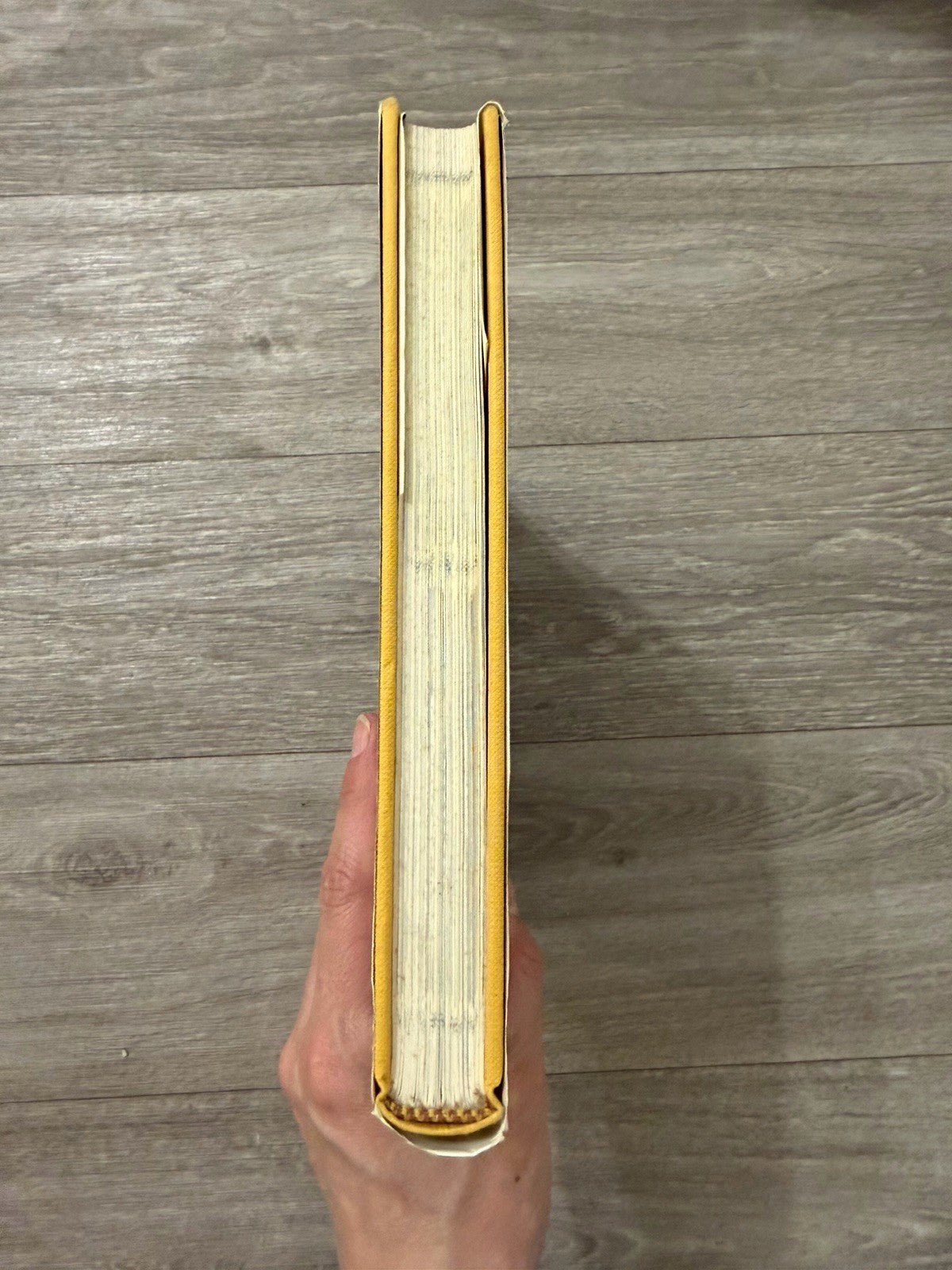 The WAR OF THE ROSES HARDCOVER - GOOD