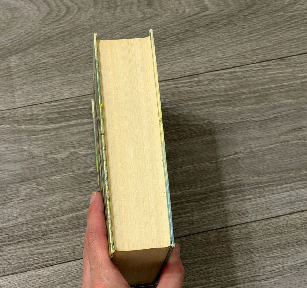 Vtg Heidi By Johanna Spyri & Hans Brinker By Mary Maples Dodge Hardcover Book