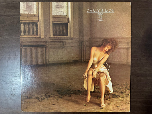 Carly Simon Boys in Trees