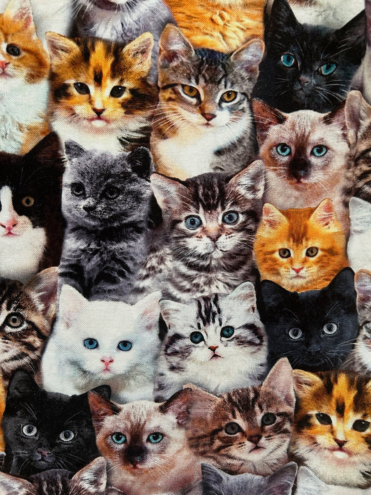 Women's Realistic Cats A-Line Skirt