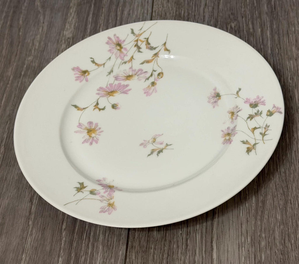 Antique L. J. Pouyat Limoges Dessert Plate (18911932)