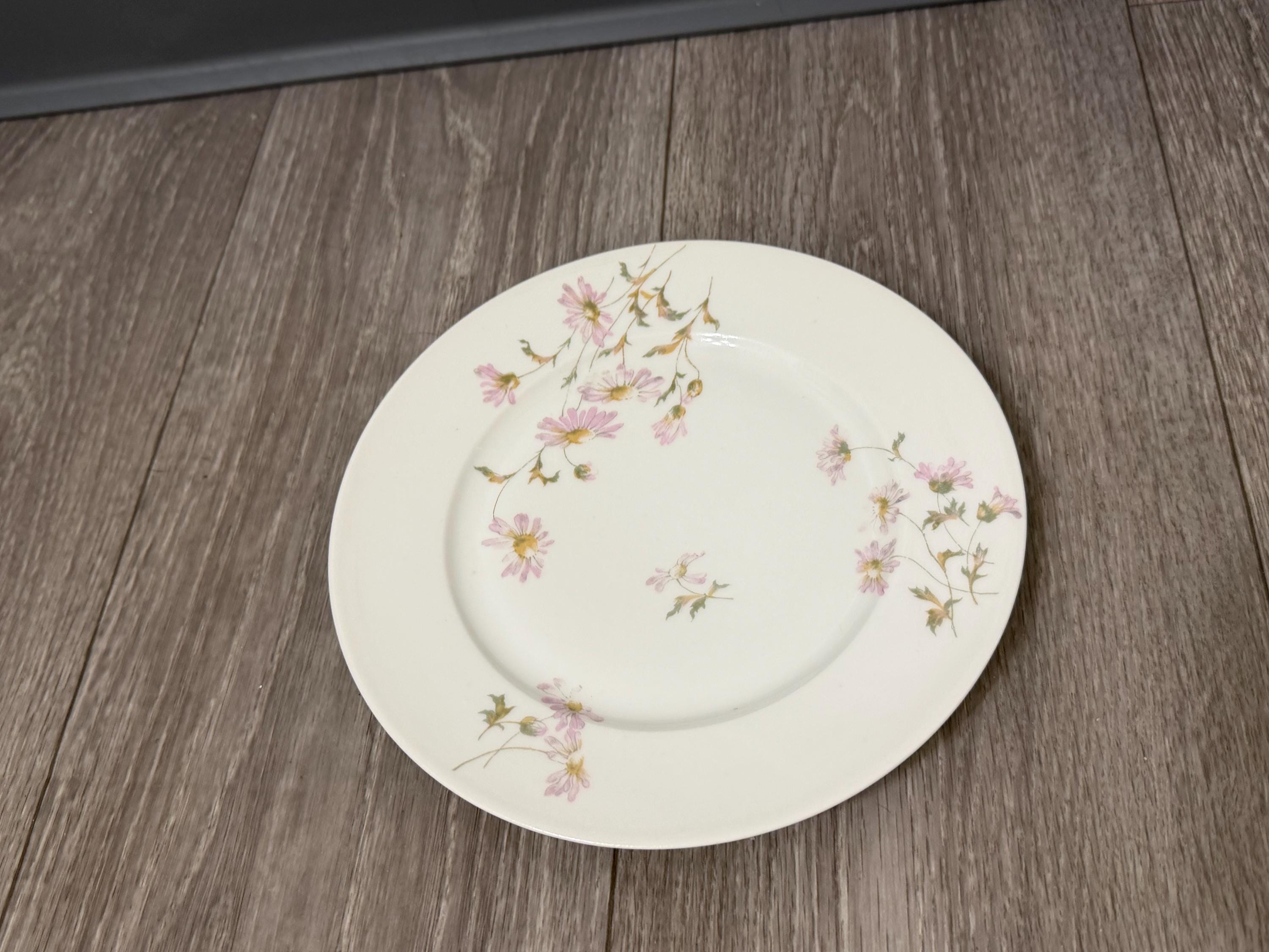 Antique L. J. Pouyat Limoges Dessert Plate (18911932)